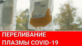 Переливание плазмы крови: насколько эффективно Городская больницы №40 город Сестрорецк