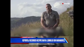 REPORTAJ RECORDER DESPRE MAFIA LEMNULUI DIN MARAMUREȘ