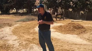 The Threshing Floor in Nazareth