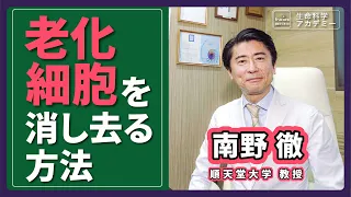 老化細胞はどうやってできる？溜まった老化細胞を除去できる未来への研究｜#02 順天堂大学 南野徹先生