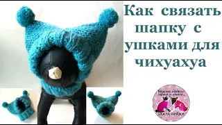 Как вязать шапку с ушками для чихуахуа МК