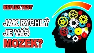 TEST RYCHLOSTI | Jak rychlý je váš mozek?