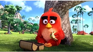 Angry Birds в кино / Angry Birds (2016) дублированный трейлер HD