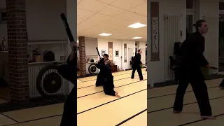 Stockkampf Köln - Tosei Ryu - Evade and Counter training