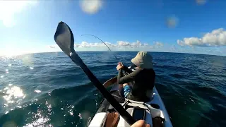 Fishing Tofo Mozambique Part 1 - The Whale & Needle