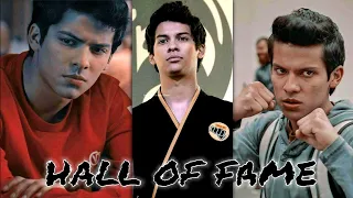 Cobra Kai Miguel Tribute - Hall Of Fame