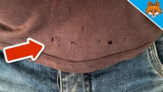 The TRUTH about Holes in the T Shirt 💥 (Almost NOBODY knows the reason) 🤯