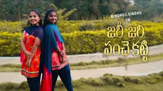 Zari zari panche katti | Bindhu & Sindhu | Telugu Folk Song |