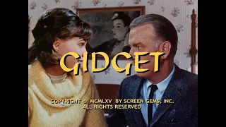 Gidget - Opening intro (1965) [HD]