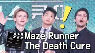 인파에 놀란 ‘메이즈러너 데스큐어’ 레드카펫 (이기홍.딜런 오브라이언.토마스 생스터 Maze Runner: The Death Cure) @IFC몰 Seoul, Korea