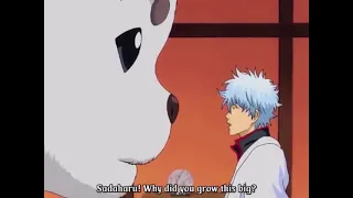 Gintoki and Sadaharu funny moment #anime #gintama