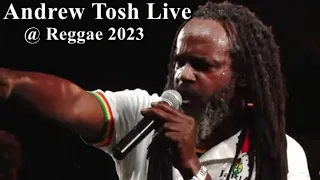 Andrew Tosh Live @ Reggae 2023