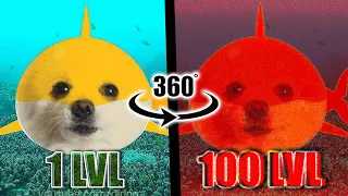 아기상어 (상어가족) 강아지 리믹스 Dj Dog 100 Level Bass Boosted VR 360