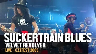 Velvet Revolver - Sucker Train Blues at Ozzfest 2005