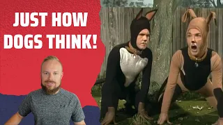 Rob Reacts to... Comedy Company - Two Dogs