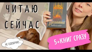 ЧИТАЮ 100500 КНИГ СРАЗУ: Марисса Мейер Позолота, Принц Модильяни, Граф Монте-Кристо и др.