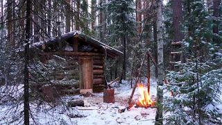 Surviving Winter in a Log Cabin | Off Grid Building, Tiny Home in the Forest
