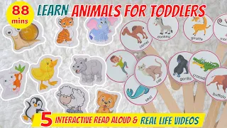 Learn Animals Names and Sounds | ABC Animals | Learning Videos for Toddlers | Read Aloud Books