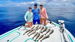 Limited Out!!! 500’ Tilefish Dropping! Jamaican Stuffed Fish - Catch/Clean/Cook