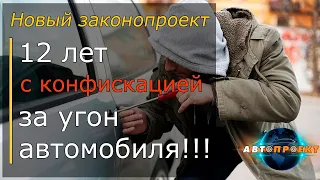 Законы для автомобилистов Украины. 12 лет за угон авто!