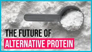 Future Food Tech (NYC) 2-3rd Dec 2020: The Future of Alternative Protein | Spoonshot Presentation