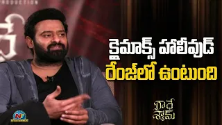 క్లైమాక్స్ హాలీవుడ్ రేంజ్ లో ఉంటుంది | Prabhas & Pooja Hegde Interview About Radhe Shyam | NTV ENT