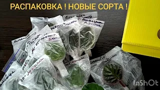 РАСПАКОВКА НОВЫХ СОРТОВ ! СТАНДАРТЫ !