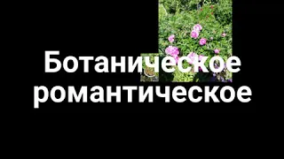 Цветоводам и дачникам посвящается