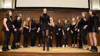 Evergreen (YEBBA) - The Fordham Satin Dolls (Acapella Cover)