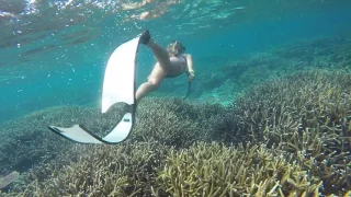 FreeDiving In Miss You Tioman