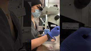 Thawing an embryo ❄️ 🤍