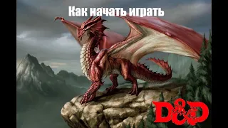 Как начать играть или водить D&D (и даже на этом зарабатывать)