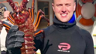 Scuba Diving Santa Barbara - How to catch and harvest lobsters, sheepheads & scallops