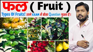 फल क्या है | What is Fruit? | फलों के प्रकार | Types of Fruits in Hindi