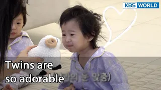 Twins are so adorable (Mr. House Husband EP.249-1) | KBS WORLD TV 220408