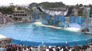 The Complete SeaWorld Shamu Believe Show When Trainers Were in the Water!