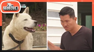 강 훈련사와 영구의 기 싸움! 끝나지 않는 대치! 결국 꼬리내린 영구 [개는 훌륭하다/Dogs Are Incredible] | KBS 220620 방송