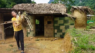 Build a bamboo wall around the kitchen - How to grow vegetable - Poor girl alone in the forest