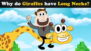 Why do Giraffes have long necks? + more videos | #aumsum #kids #science #education #whatif