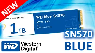 Обновленный и неплохой SSD WD Blue SN570 1TB WDS100T3B0C