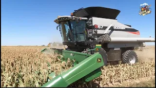 Southwest Kansas Milo Harvest