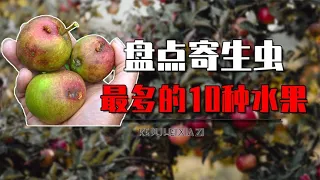 10种寄生虫最多的水果有哪些？杨梅里能爬出小虫，其他还有啥？