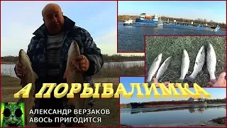 А порыбалимка. Трехдневка по пеленгасу. Дон.