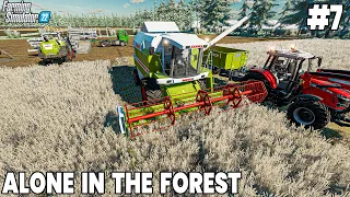 Building Silos & Harvesting Forest Wheat - Farming Simulator 22 Timelapse