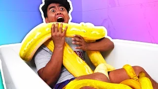 SNAKE BATH CHALLENGE!