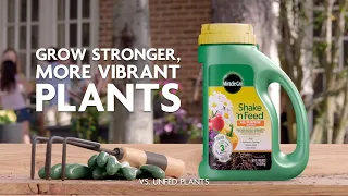 How to Grow Stronger, More Vibrant Plants Using Miracle-Gro® Shake 'n Feed® Plant Food