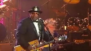 Bo Diddley - Bo Diddley - A Celebration of Blues and Soul