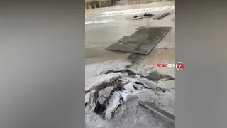 На Сахалине юноша с риском для жизни спас провалившуюся под лед собаку