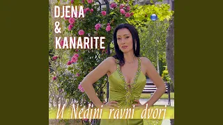 U Nedini ravni dvori