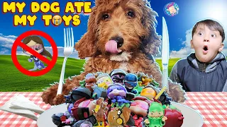 Our GOLDEN DOODLE Puppy is a MENACE!  She ate our new mini-figs! (FV Family Callie Vlog)